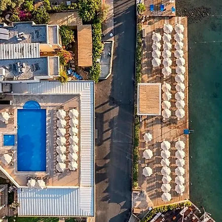 Trendlife Torba Hotel *