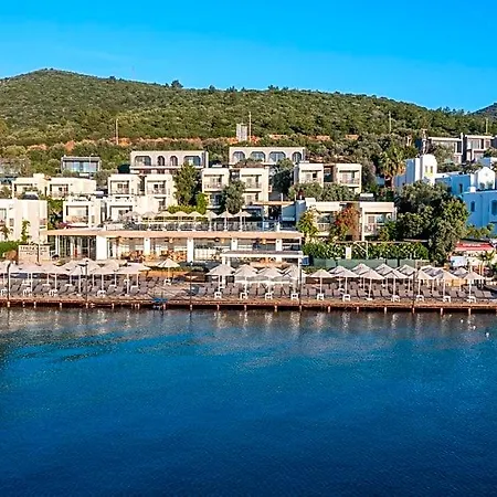 Hotel Trendlife Torba *