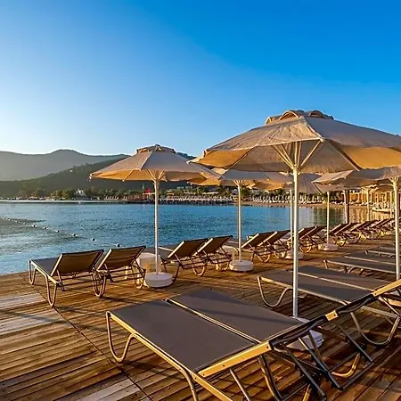 Hotel Trendlife Torba